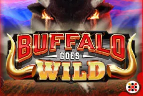 Buffalo Goes Wild
